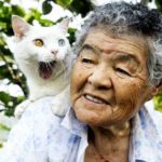 Gatoterapia: Los beneficios de poner un gato en la vida de las personas mayores
