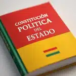 La Constitución Política del Estado: Bases y Fundamentos del Estado Plurinacional de Bolivia